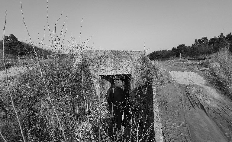 train_페이지_055_이미지_0005.jpg