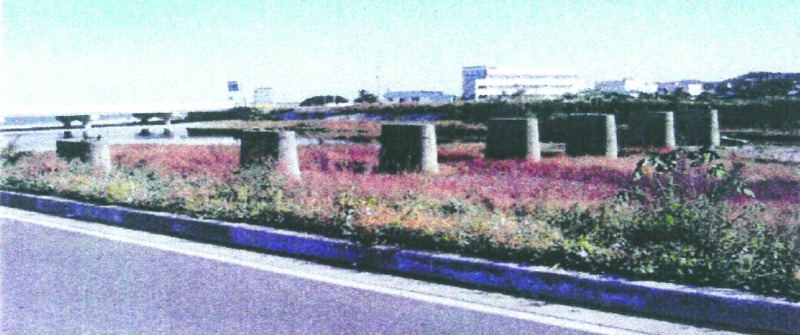 train_페이지_011_이미지_0003.jpg