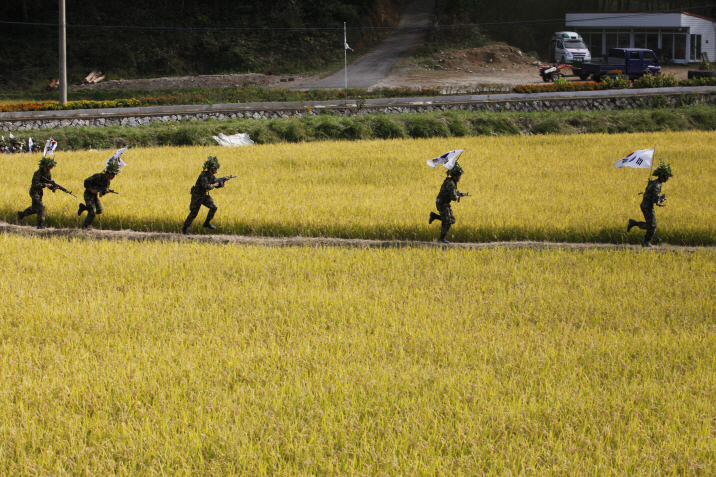 최근choil_MG_2019.JPG