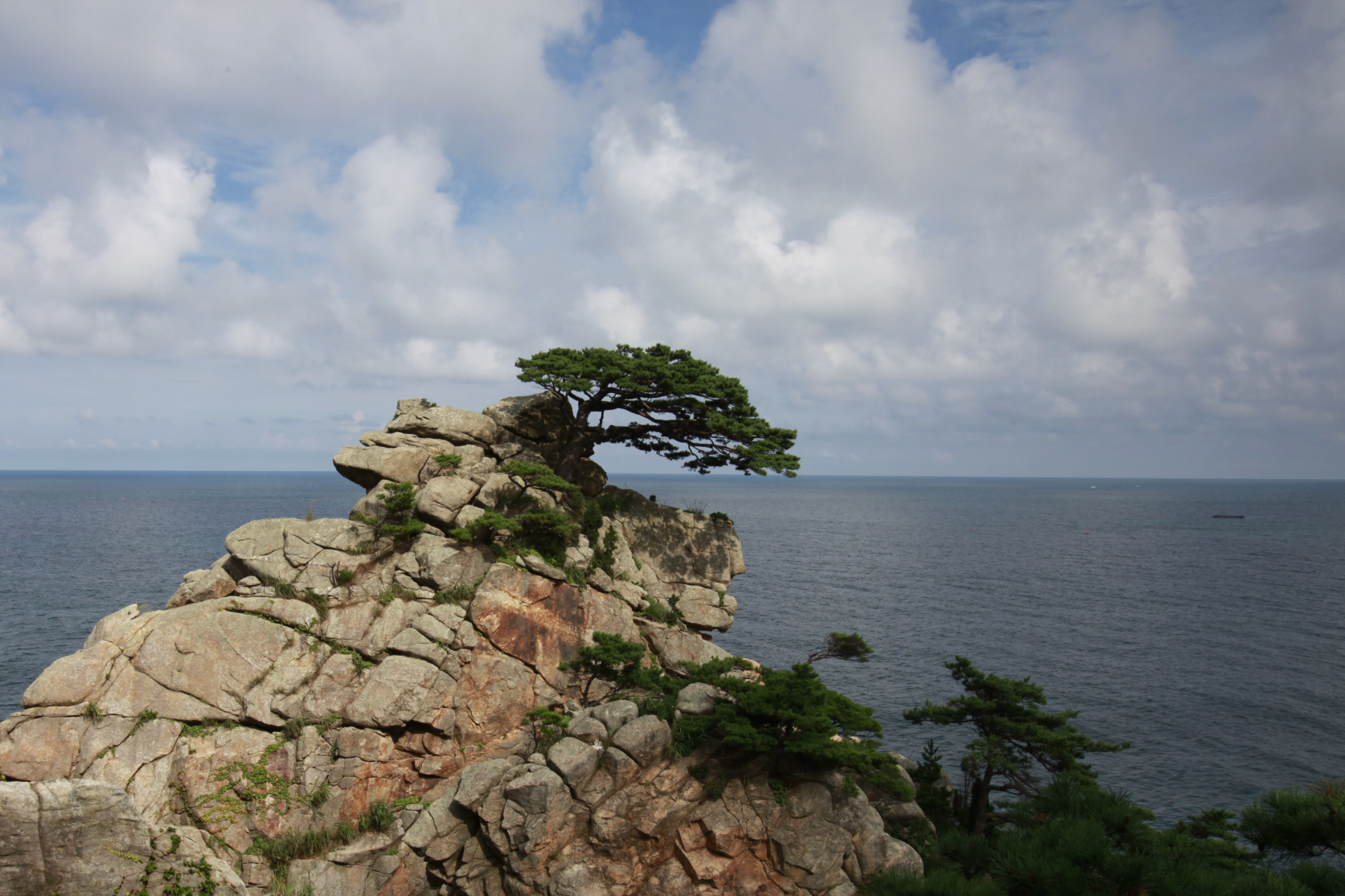 최근choil_MG_0988.JPG